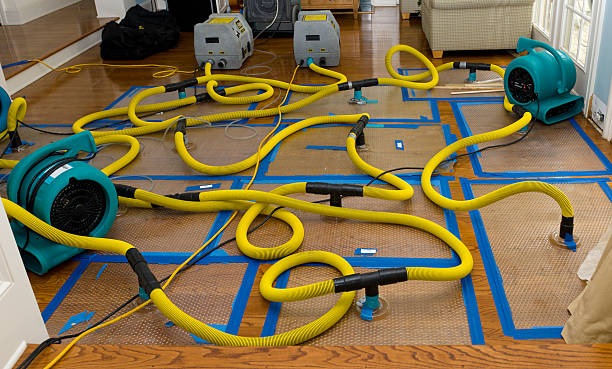 Professional Basement Flood Cleanup technician working in Fitzwilliam, NH